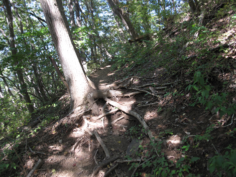 20161104hike (51)